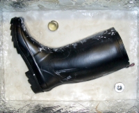https://www.helenesilverman.net/files/gimgs/th-10_12_bootbook5.jpg